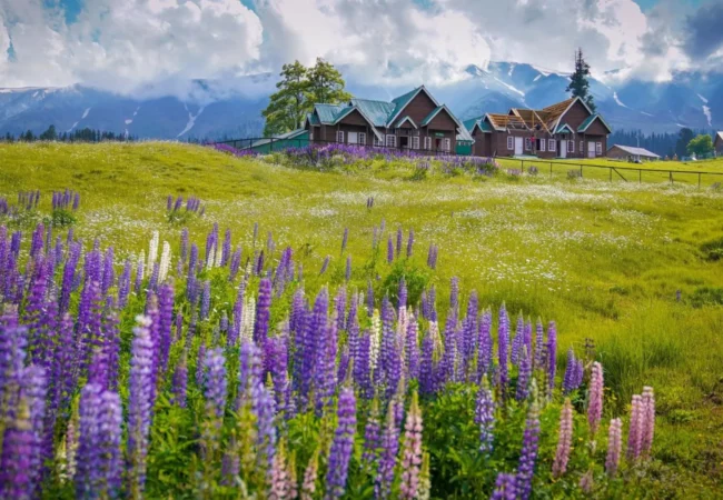 Kashmir travel plan scenic mountain landscape